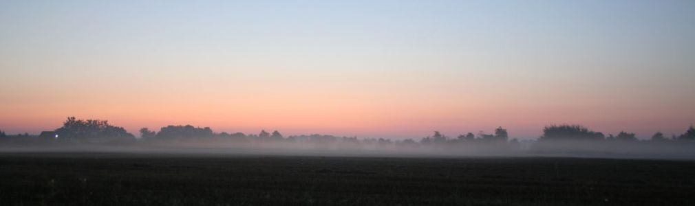 nebel